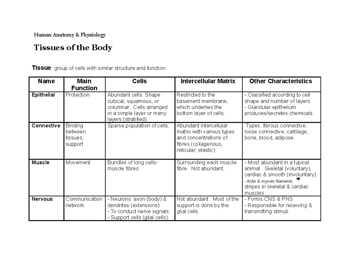 Tissuesofthe Body - These are lecture notes for Human Anatomy And ...