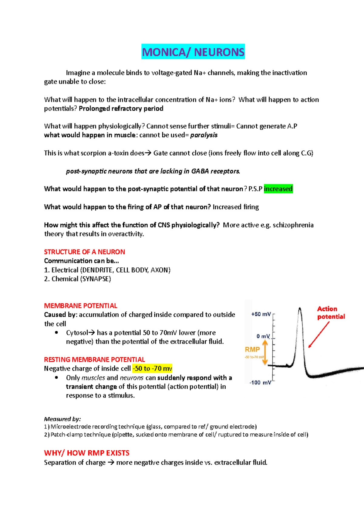 Neurons and Muscle - Quick overview of lecture notes from 2022 sem 1 ...