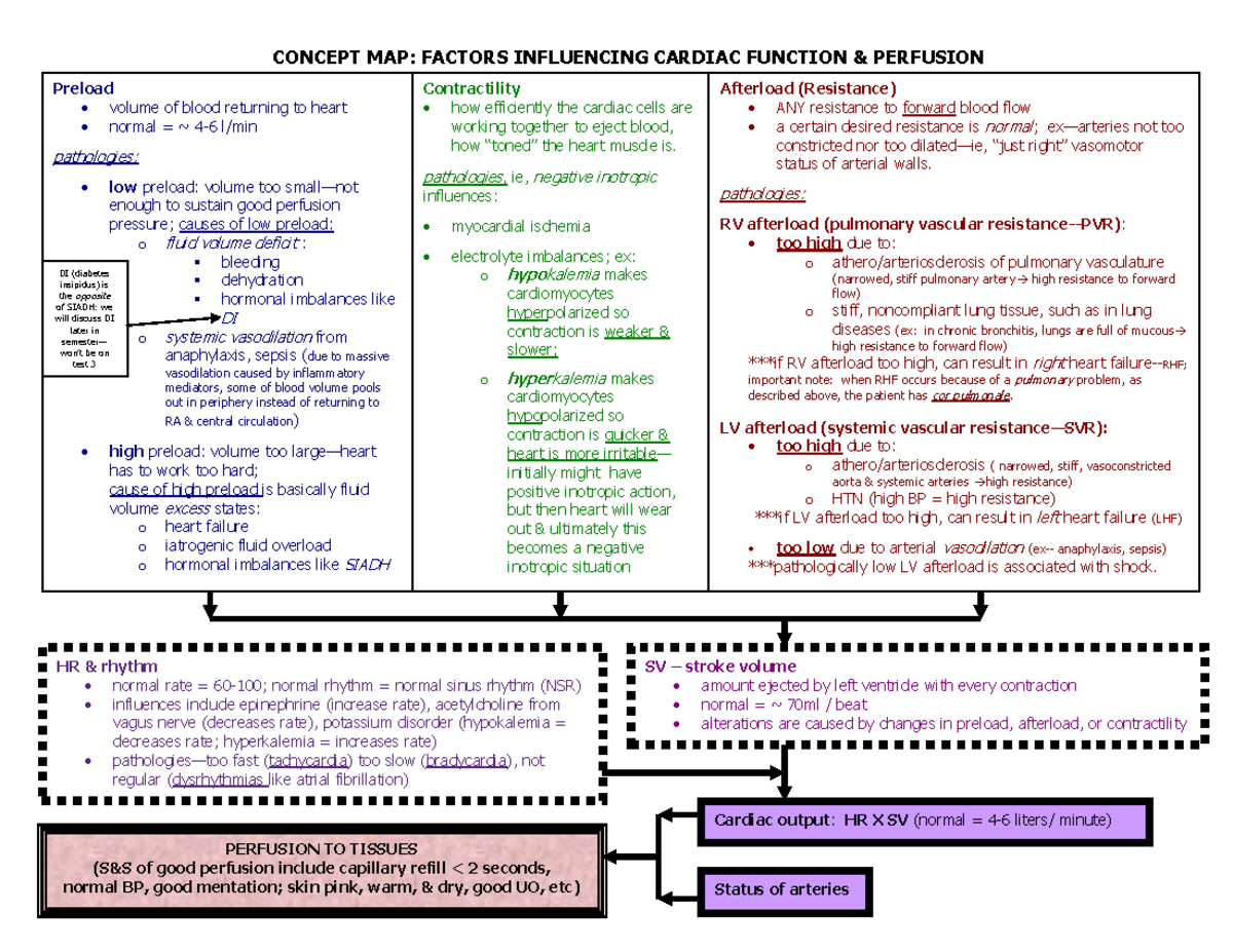 Concept Map Factors Influencing Cardiac Function - CONCEPT MAP: FACTORS ...