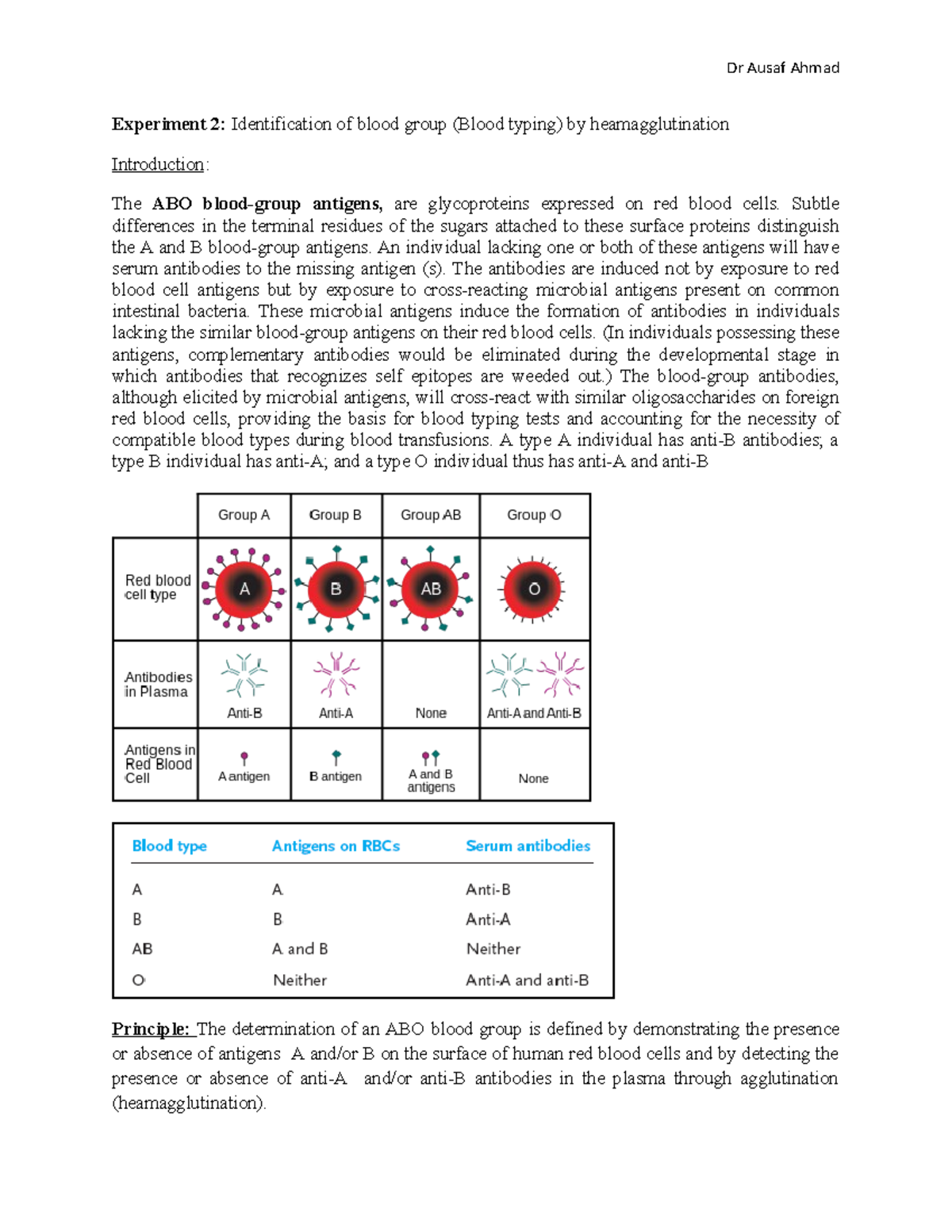 Blood typing - Subtle differences in the terminal residues of the ...