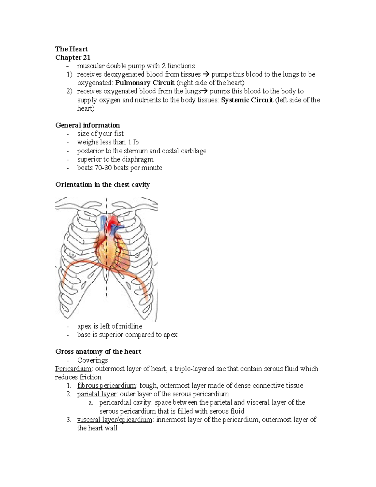 Heart - The Heart Chapter 21 - muscular double pump with 2 functions 1 ...