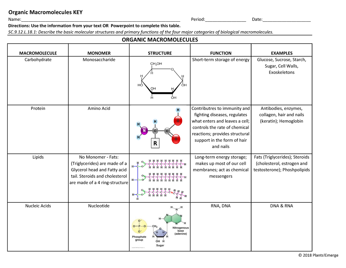 Macromolecules Chart Worksheet