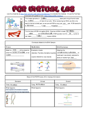 2.1.4.A Calculating Force Vectors - Activity 2.1 Calculating Force