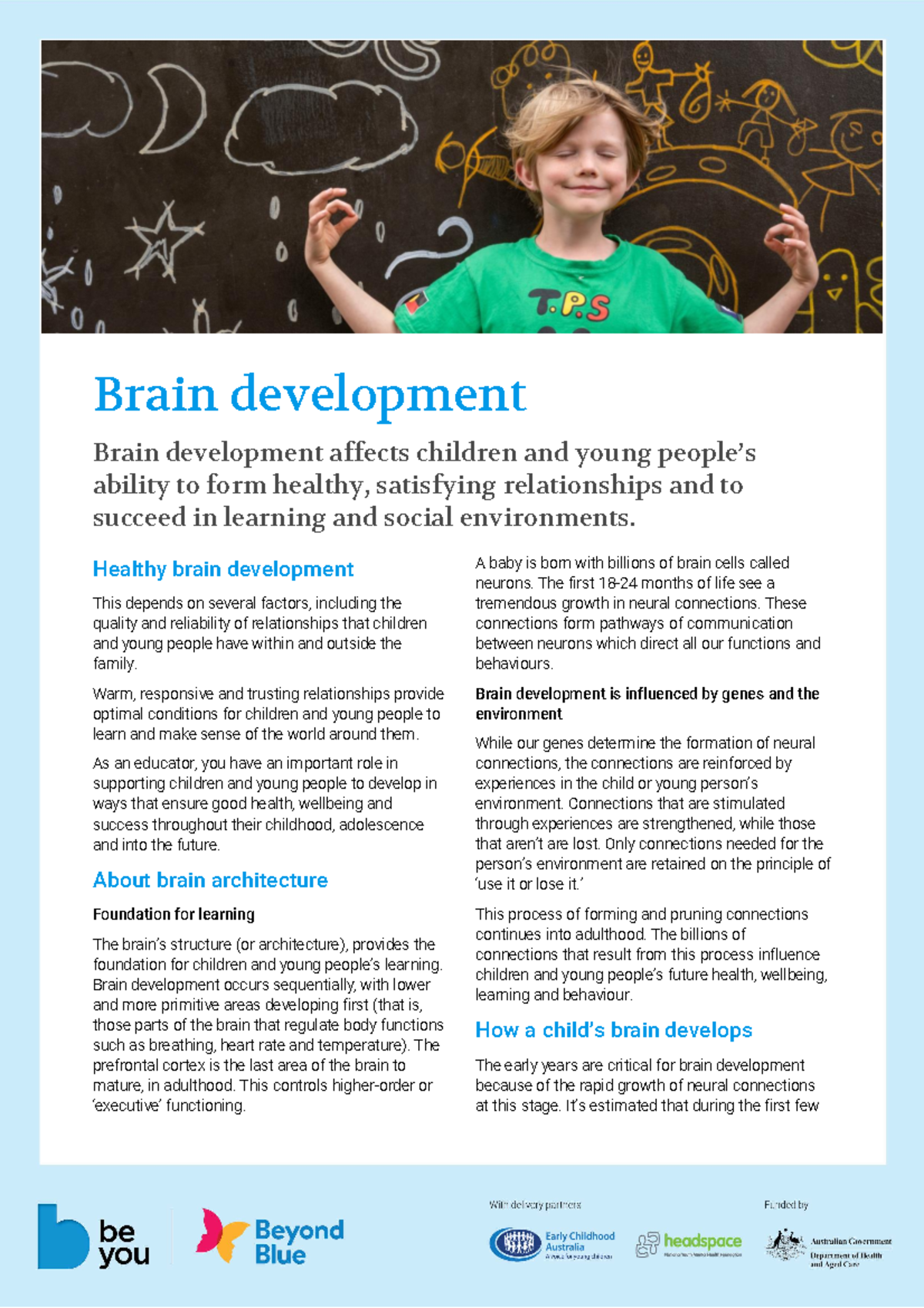 Brain development fact sheet - Brain development Brain development ...