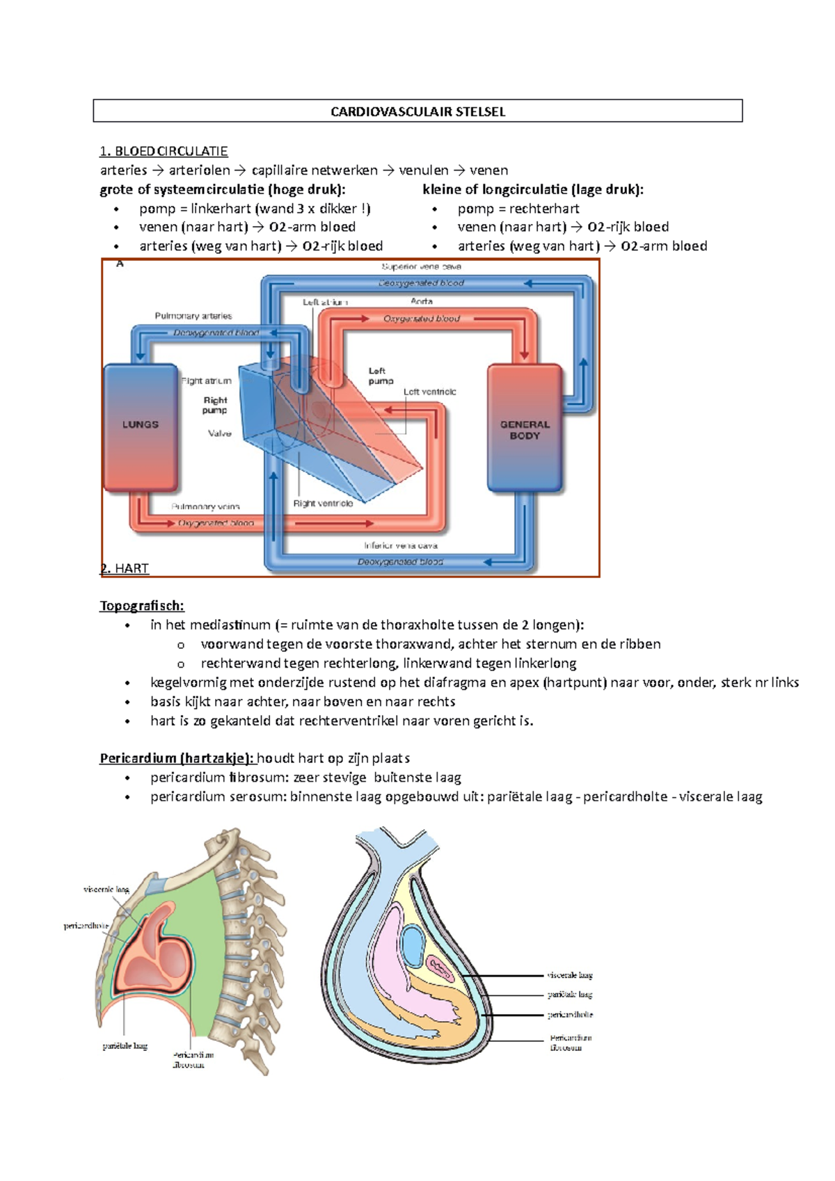 2 Cardiovasculair - CARDIOVASCULAIR STELSEL 1. BLOEDCIRCULATIE Arteries ...