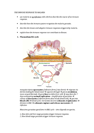 Lecture 16 Birth Defects - MED BIO LECTURE 16 The history of birth ...