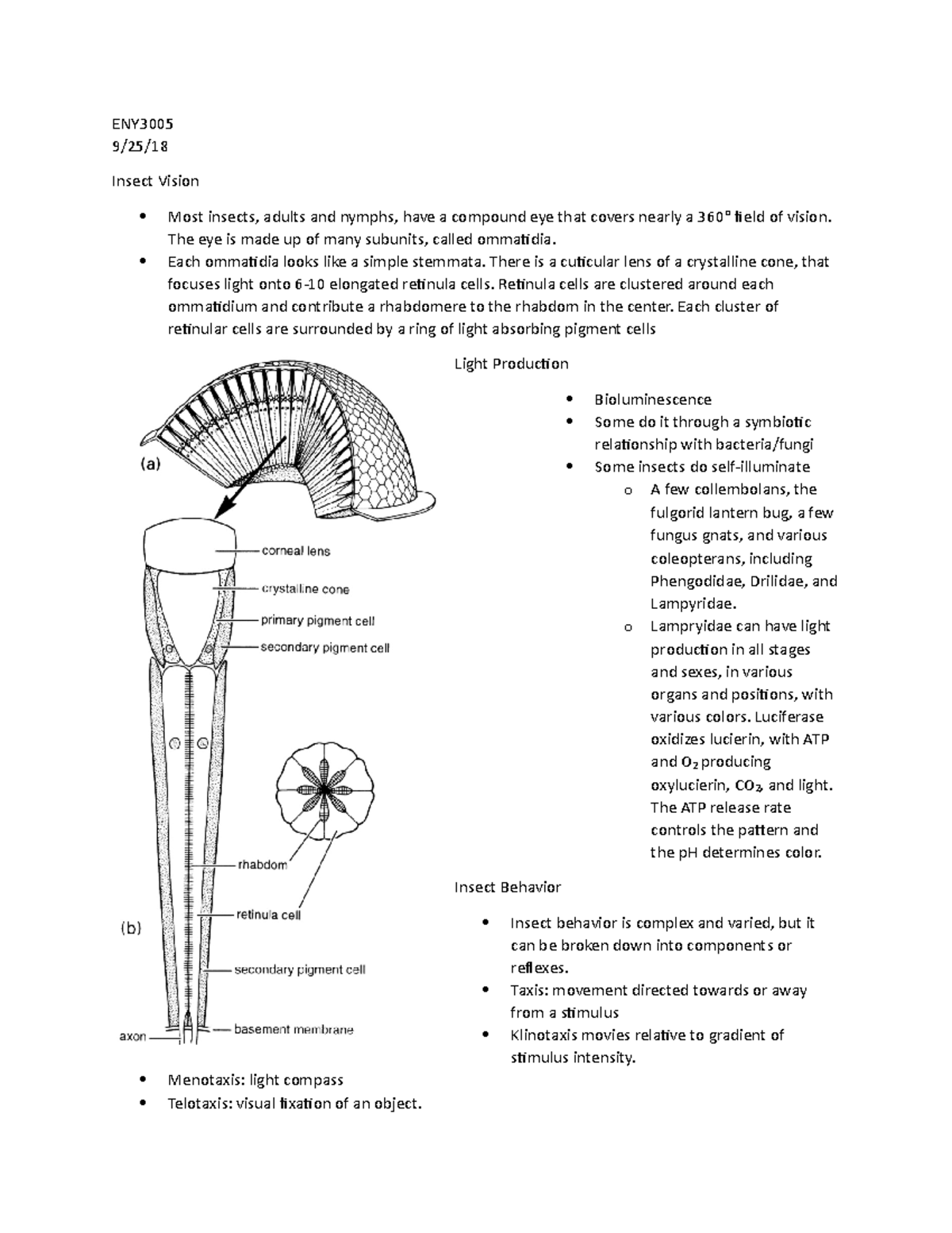 9 25 18 sight and life development - ENY3005 9/25/18 Insect Vision Most ...