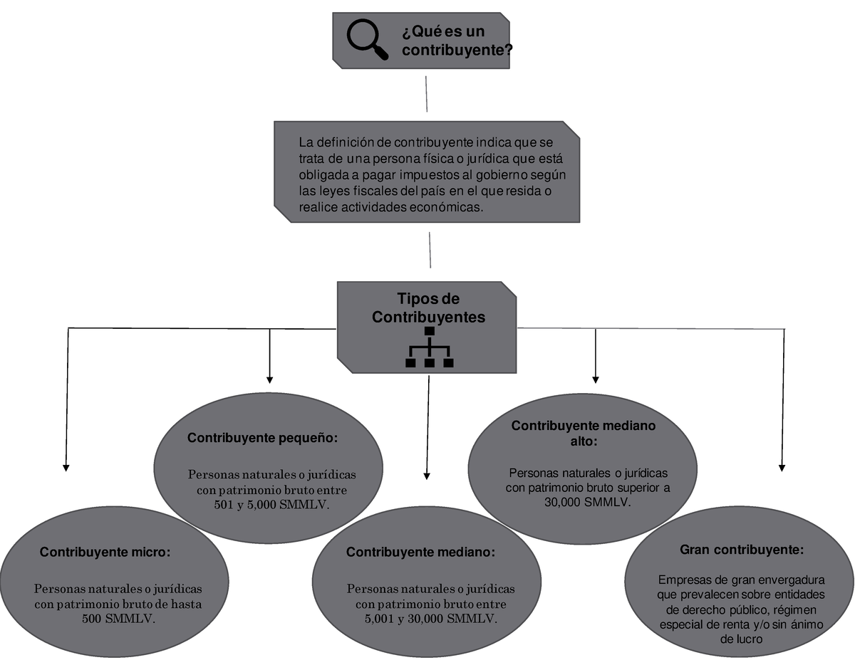 Mapa Conceptual Tipos De Contribuyente Tipo De Contri 8729