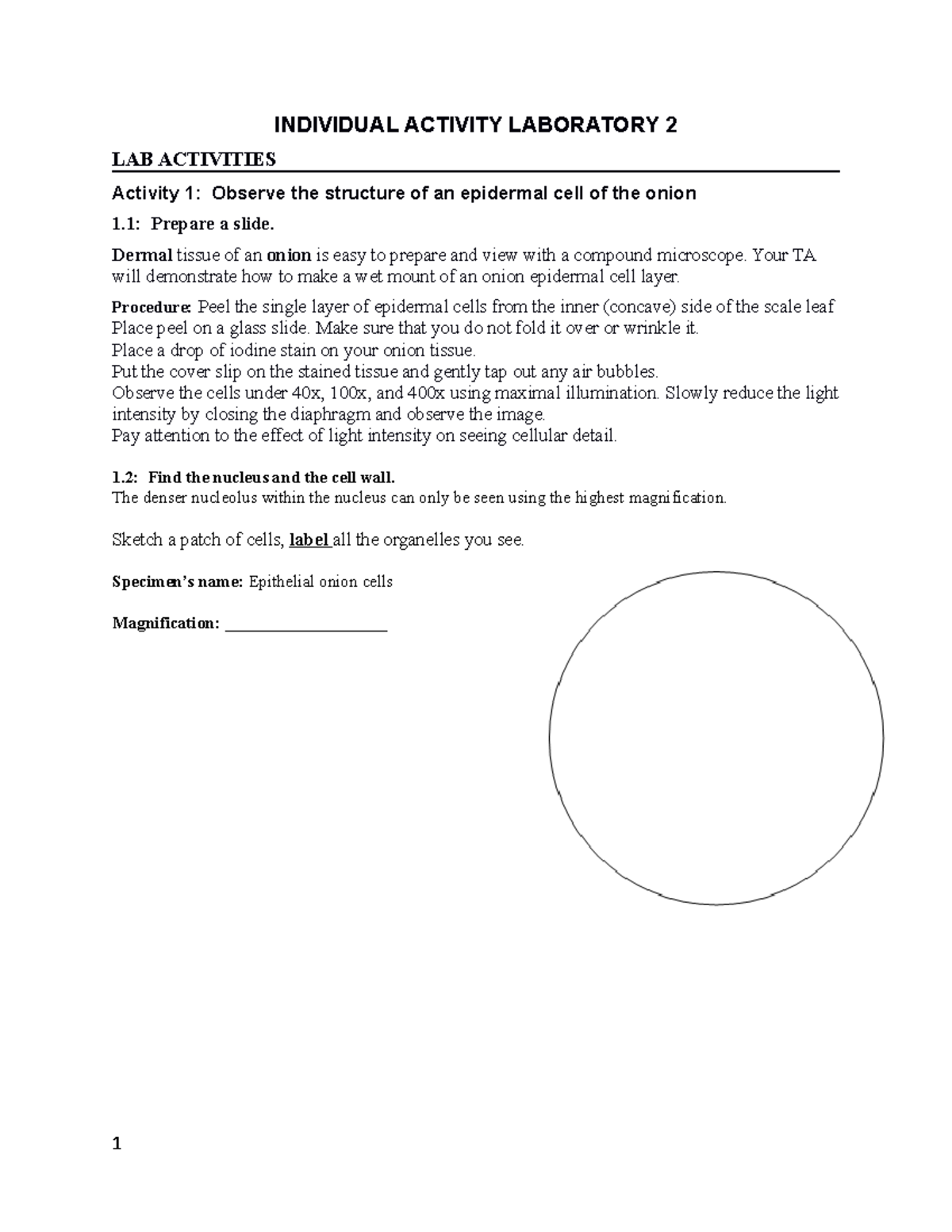 Individual Lab activity- Print THIS OUT - INDIVIDUAL ACTIVITY ...