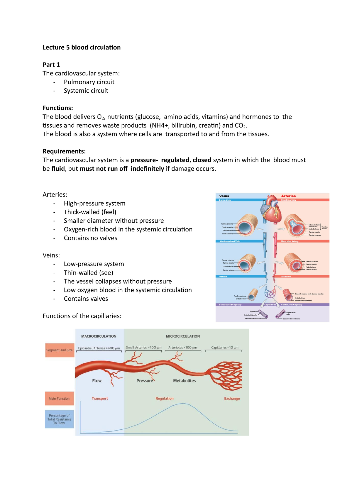 lecture-5-physiology-blood-circulation-lecture-5-blood-circulation