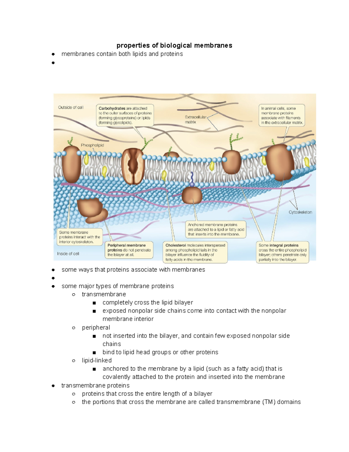 10 14 lecture notes roberson properties of biological membranes