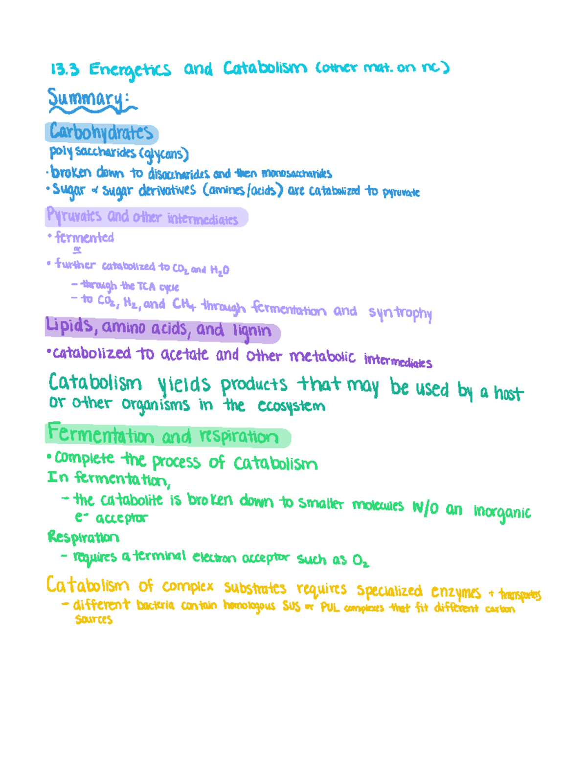 Start Of Chapter 13 Notes - 3 3 Energetics And Catabolism Other Mat On ...