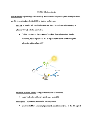 C190 Module 12: The Cell Cycle - U5-M12: The Cell Cycle Cell Cycle ...