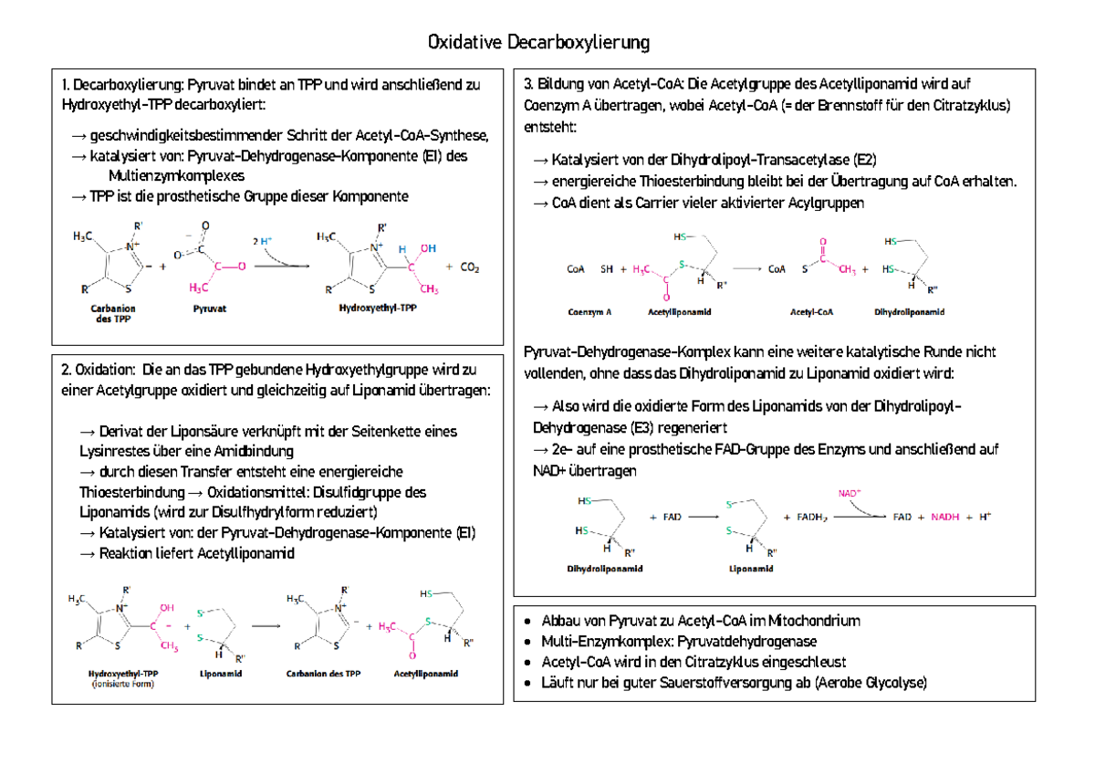 Wo Findet Die Oxidative Decarboxylierung Statt Oxidative Decarboxylierung - Oxidative Decarboxylierung