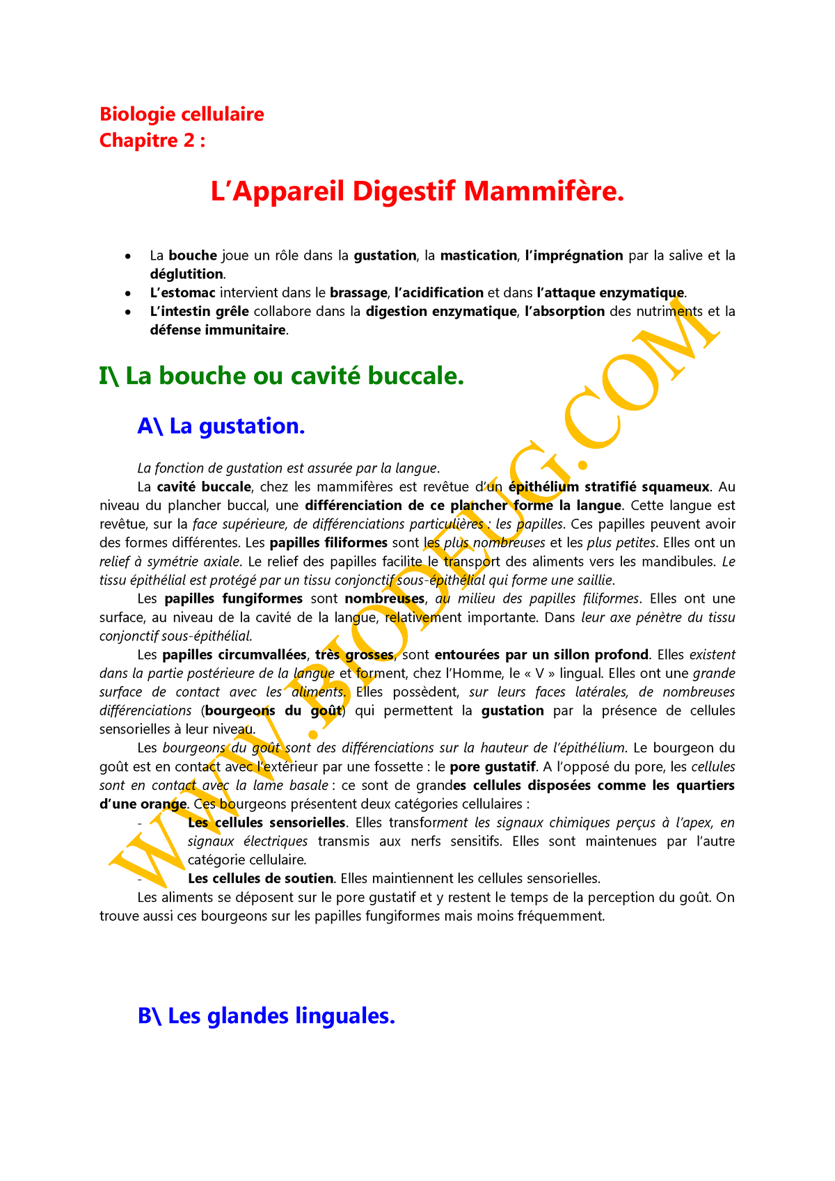 L3 Biocell Chap2 Biologie Cellulaire Biologie Cellulaire Chapitre 2 Lappareil Digestif 1316