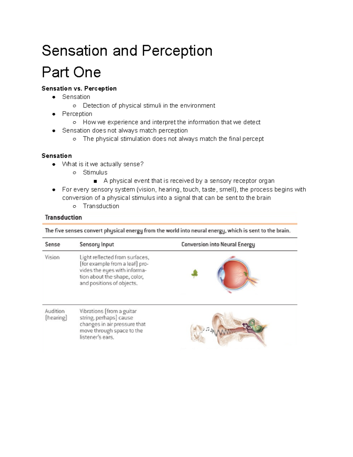 Chapter 6 Sensation And Perception - Sensation And Perception Part One ...