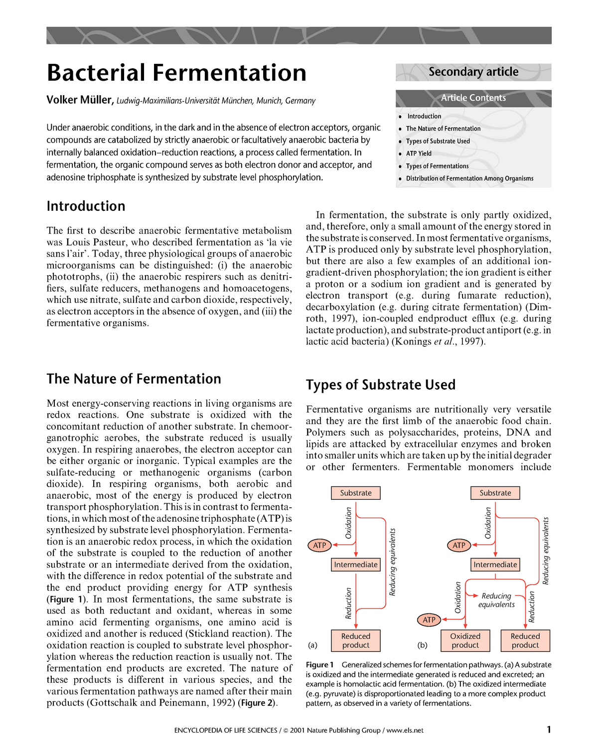 recent research paper on fermentation