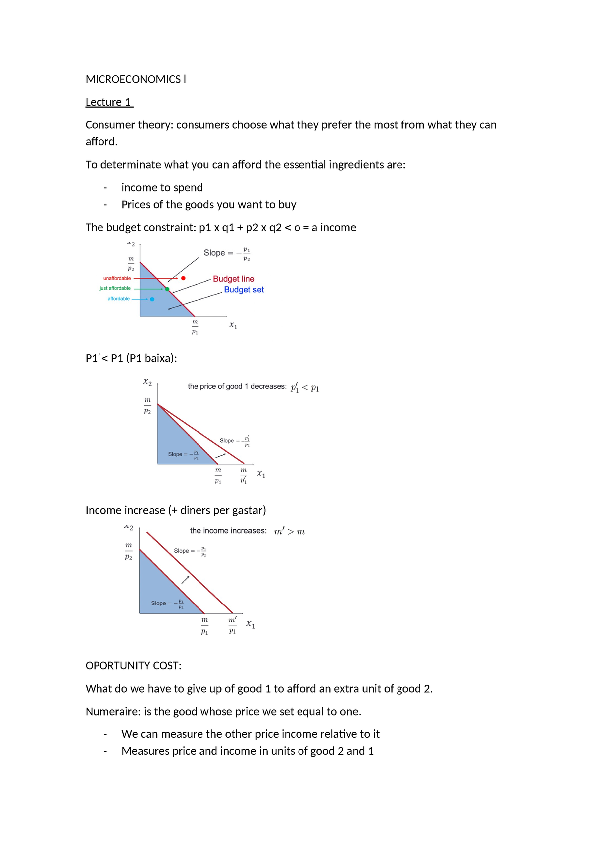 Microeconomics l - resum - MICROECONOMICS l Lecture 1 Consumer theory ...