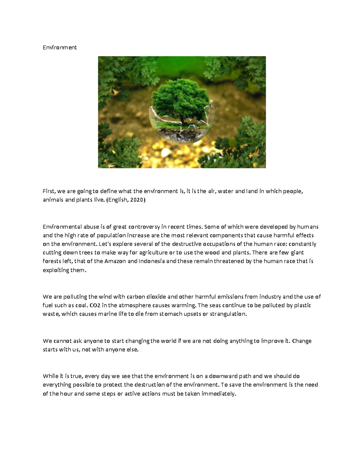 Environment 1 - TRABAJO DE INGLES - Environment First, we are going to ...
