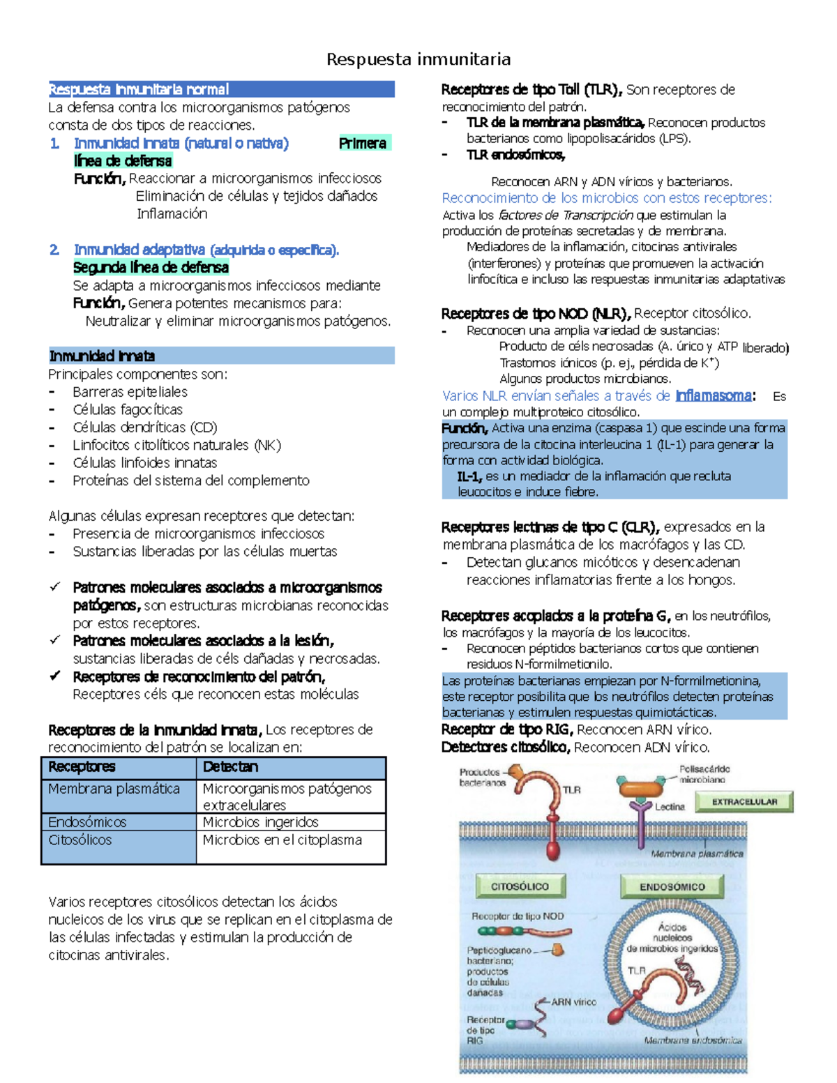 Enfermedades del sistema inmunitario - Respuesta inmunitaria Respuesta ...