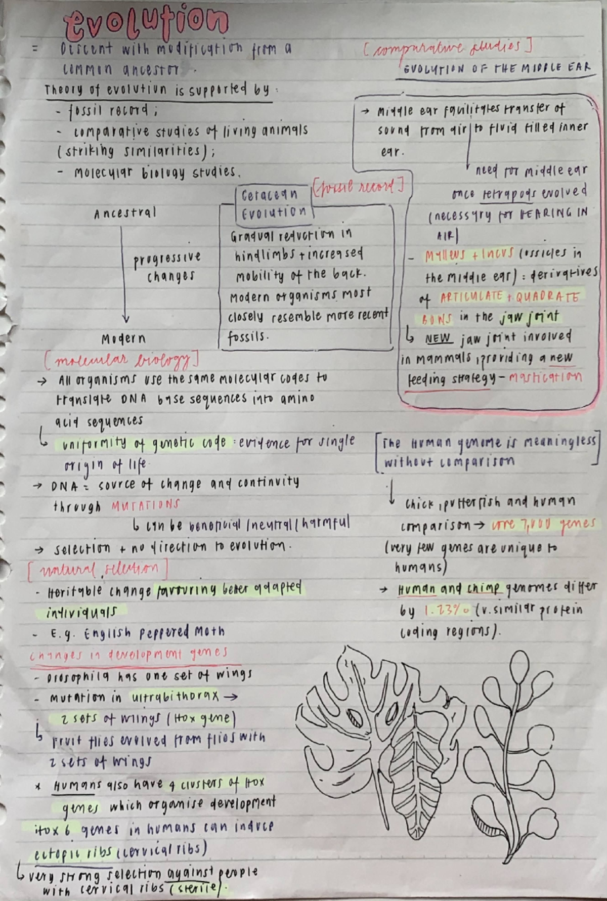 2018-2019 4BBY1060 Lecture 1 Evolution - 4BBY1060 - Studocu