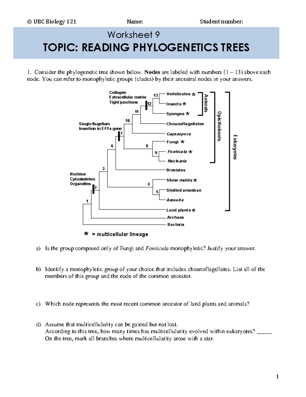 Worksheet 9 Reading Trees11 © UBC Biology 121 Name Student number 1 1
