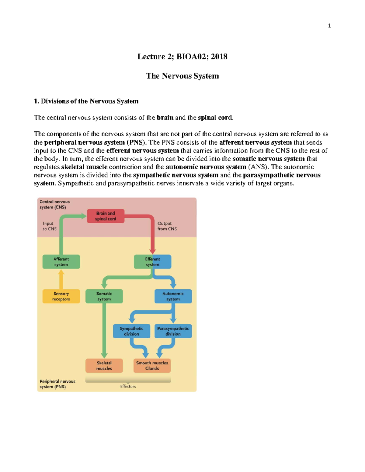 Lecture 2 Notes 2018 The Nervous System - Lecture 2; BIOA02; 2018 The ...