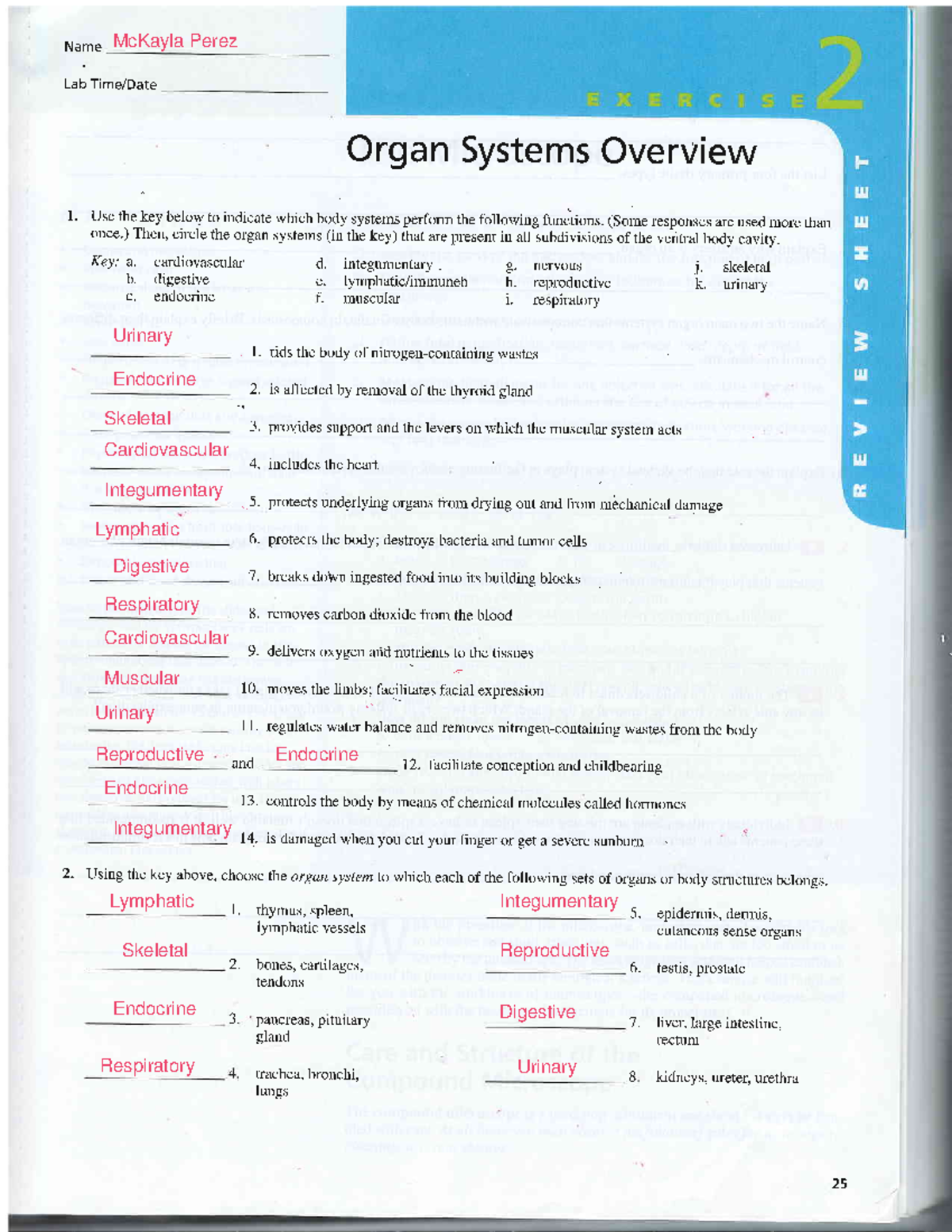 Lab Exercise Review Sheet #2 - Name Lab Time/Date Organ Systems ...