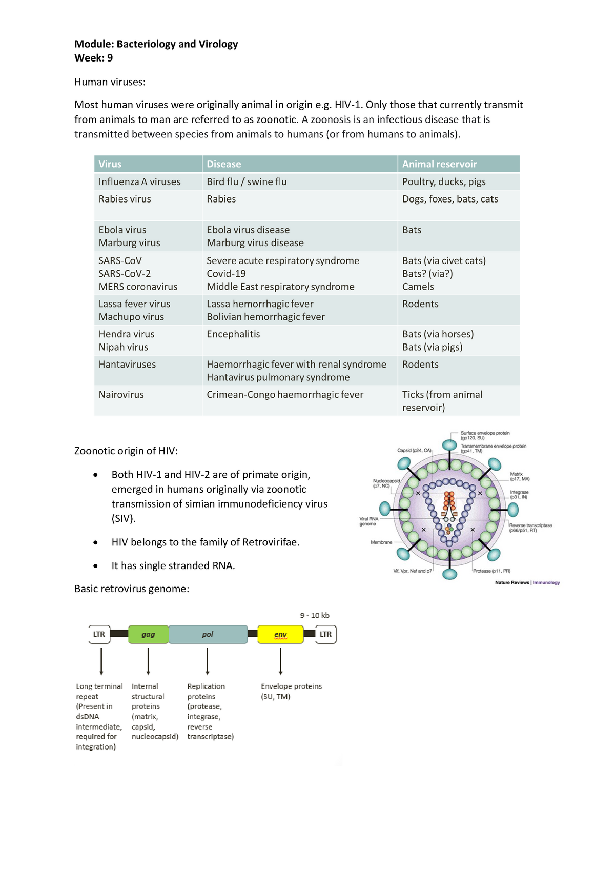 Bacteriology And Virology - Human Viruses - Module: Bacteriology And ...