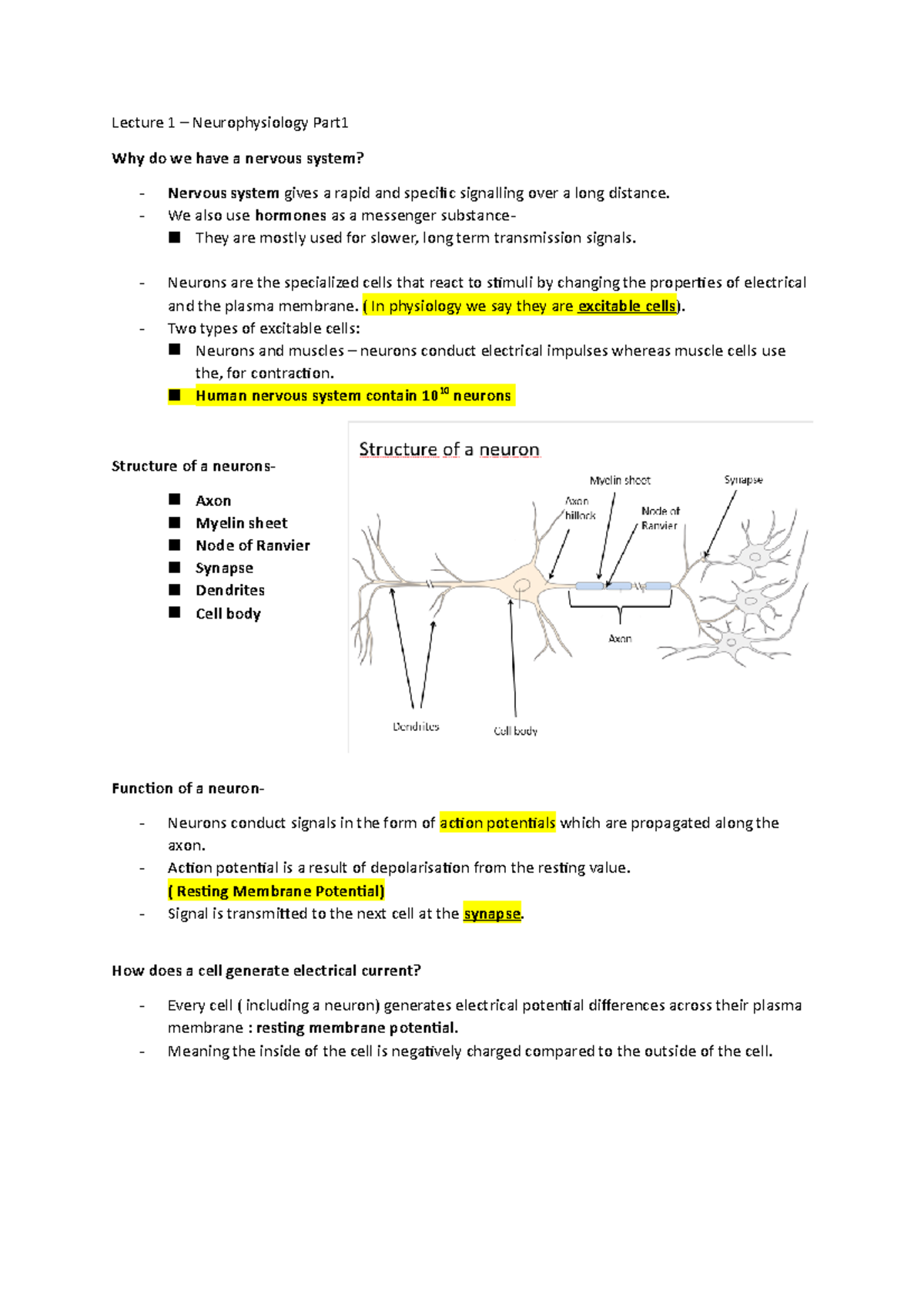 Lecture 1 – Neurophysiology Part1 - Studocu