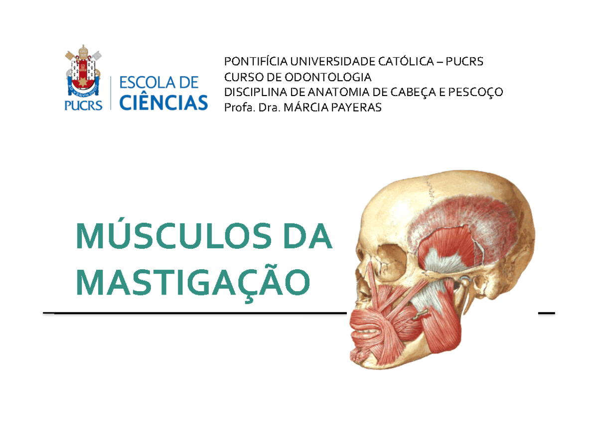 Músculo Responsável Por Mover E Estabilizar Os Ossos
