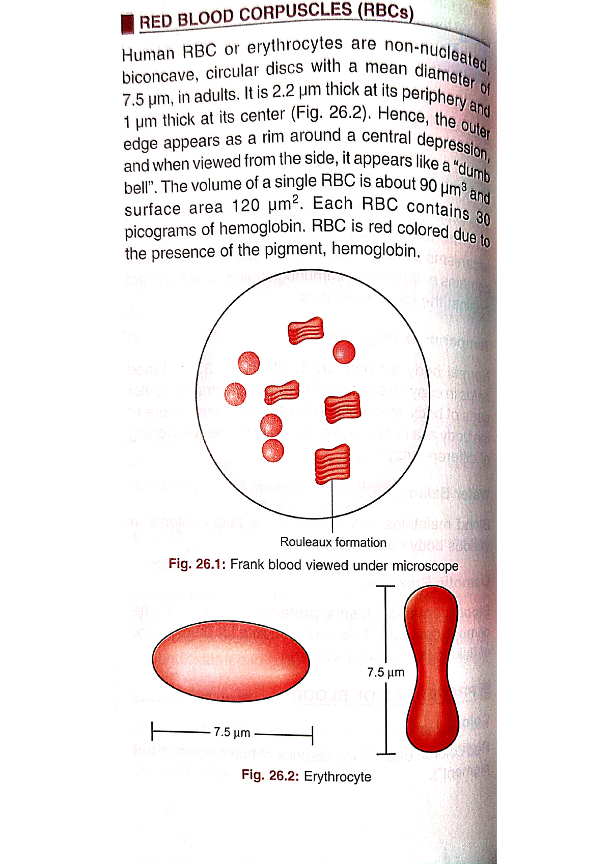 RBC - Red Blood Cells(RBCs) - Bsc Nursing - Studocu