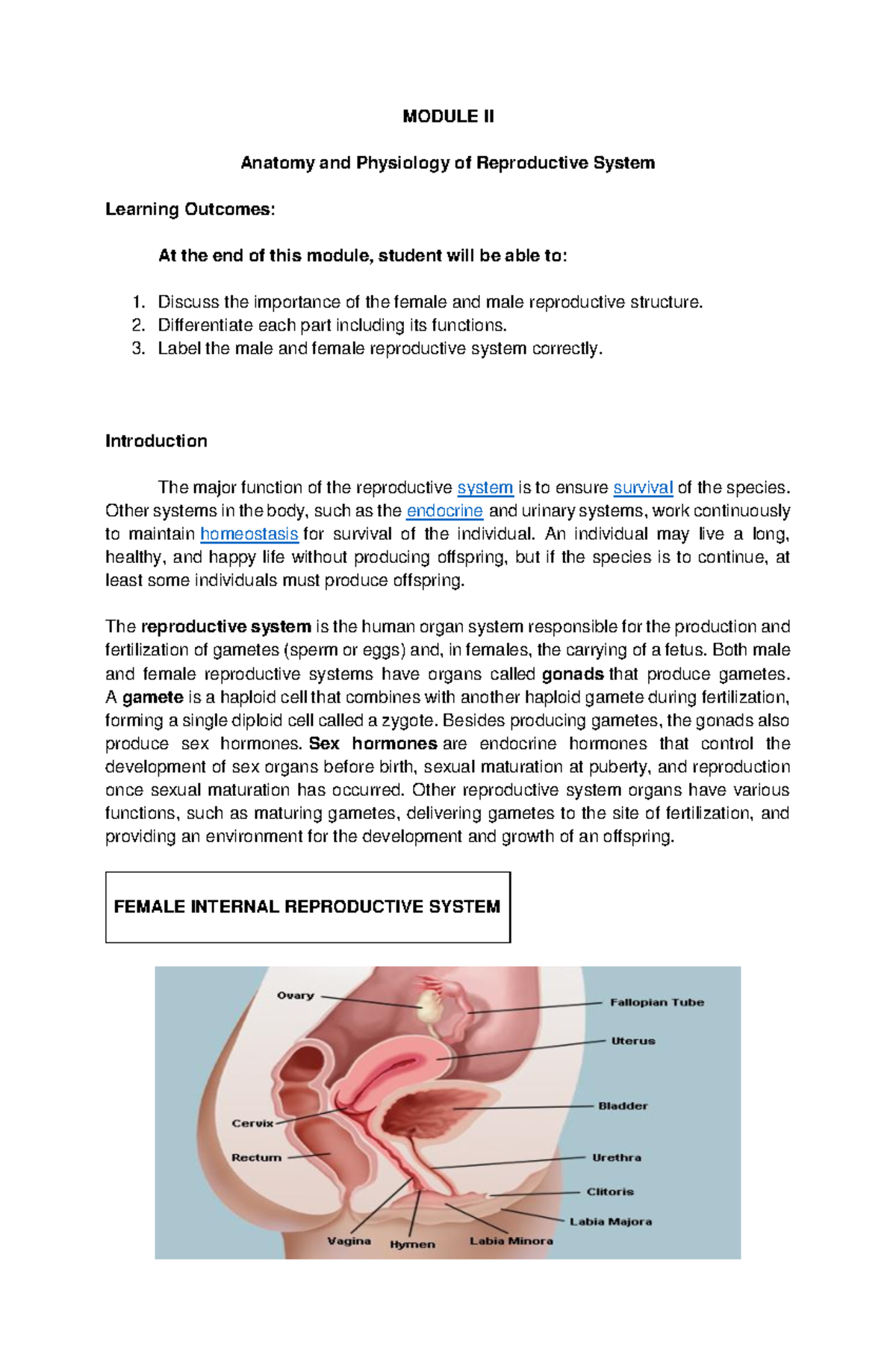 NCM-107 Module 2 Reproductive-System - MODULE II Anatomy and Physiology ...