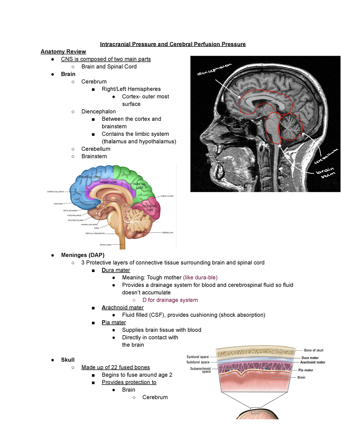 Intracranial Pressure and Cerebral Perfusion Pressure - Google Docs ...