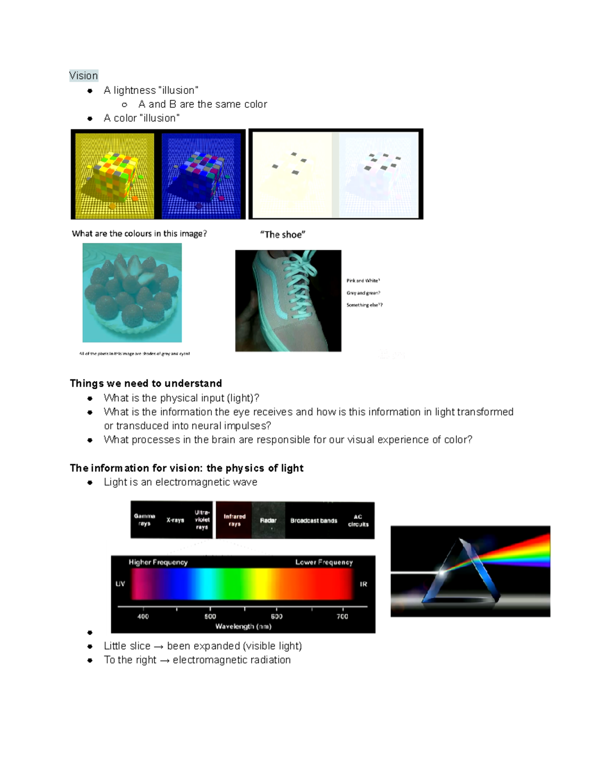 Psyc2016 notes perception - Vision A lightness “illusion” A and B are ...