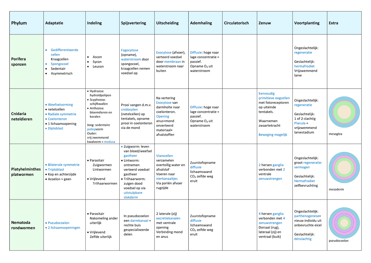 Overzicht adaptaties + stelsels deel 1 - Phylum Adaptatie Indeling ...