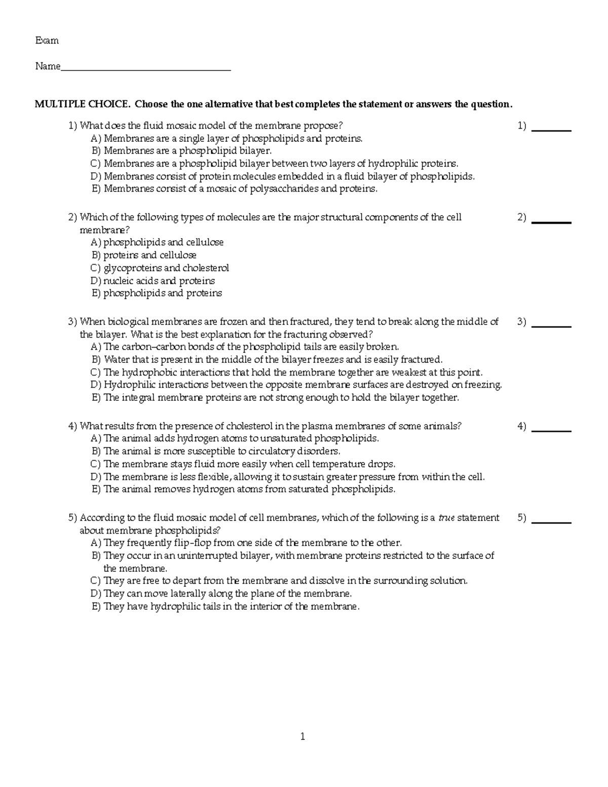 Chapter 7 Practice Questions - Exam Name ...