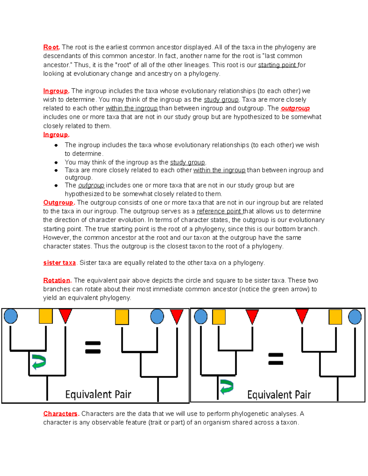 Phylogeny assisgment - Root. The root is the earliest common ancestor ...