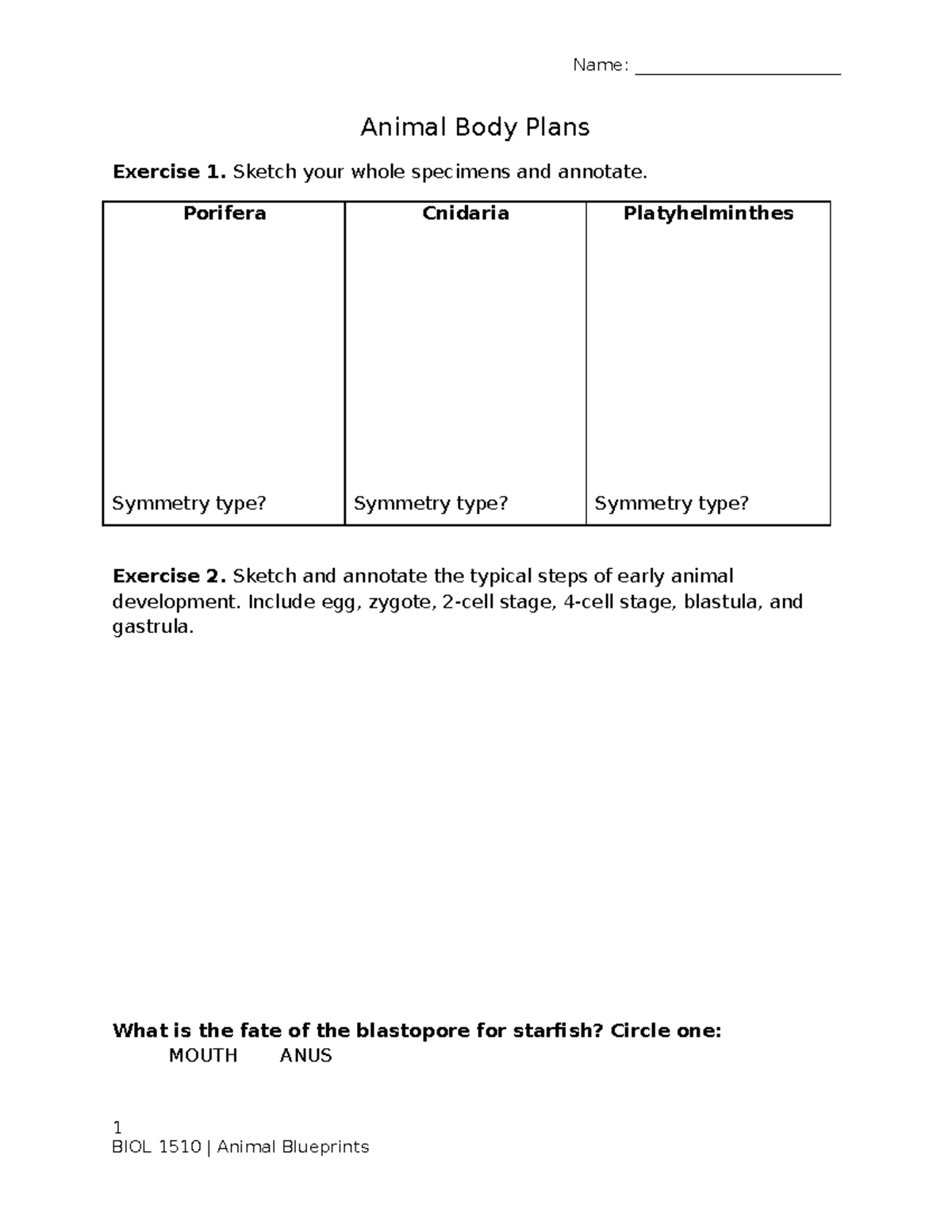 Animal Blueprints Worksheet - Name: ________________________ Animal