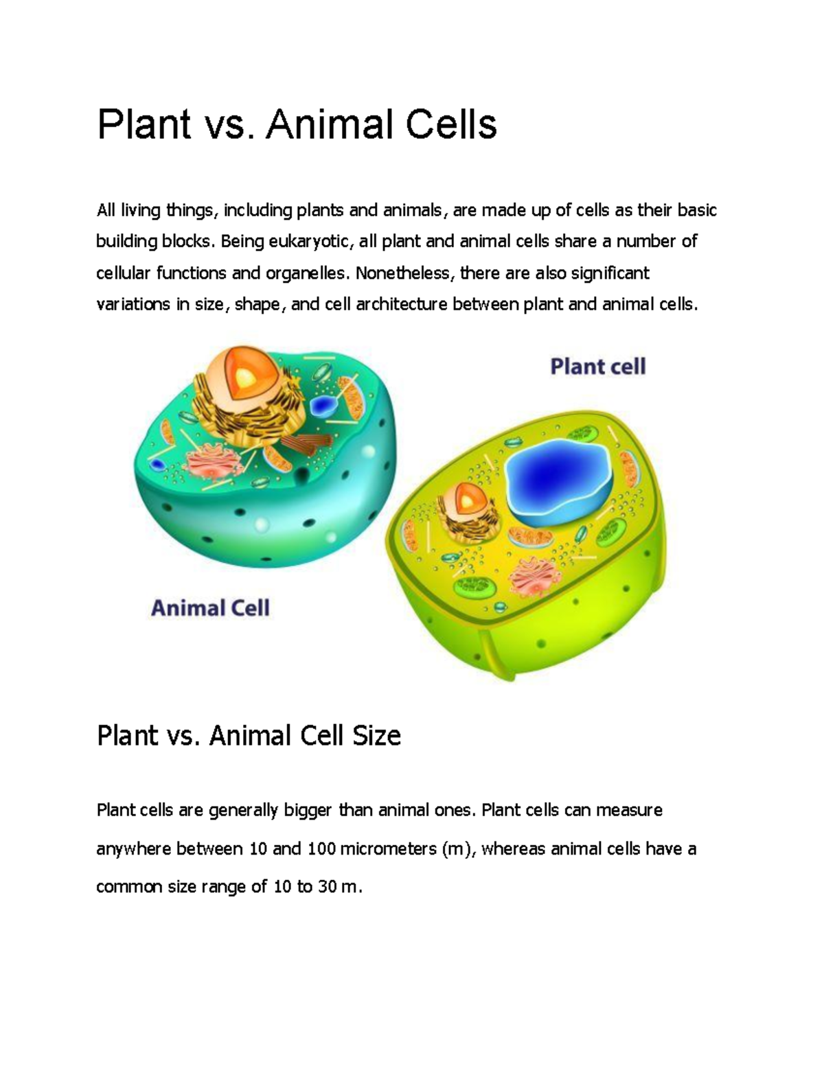 Annulus Plant Vs. [Similar Plant]: Which One Should You Grow? - ri1z2bf