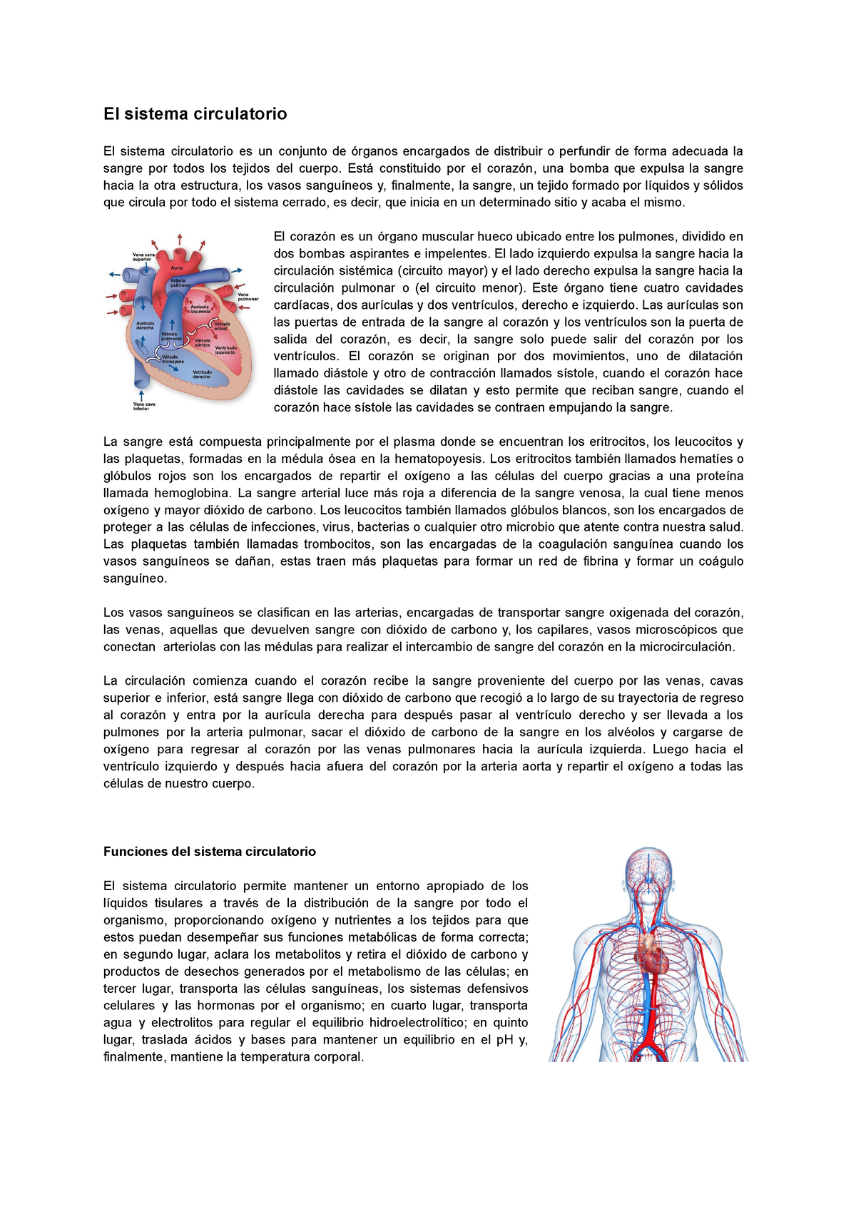 CT Sistema Circulatorio - El Sistema Circulatorio El Sistema ...