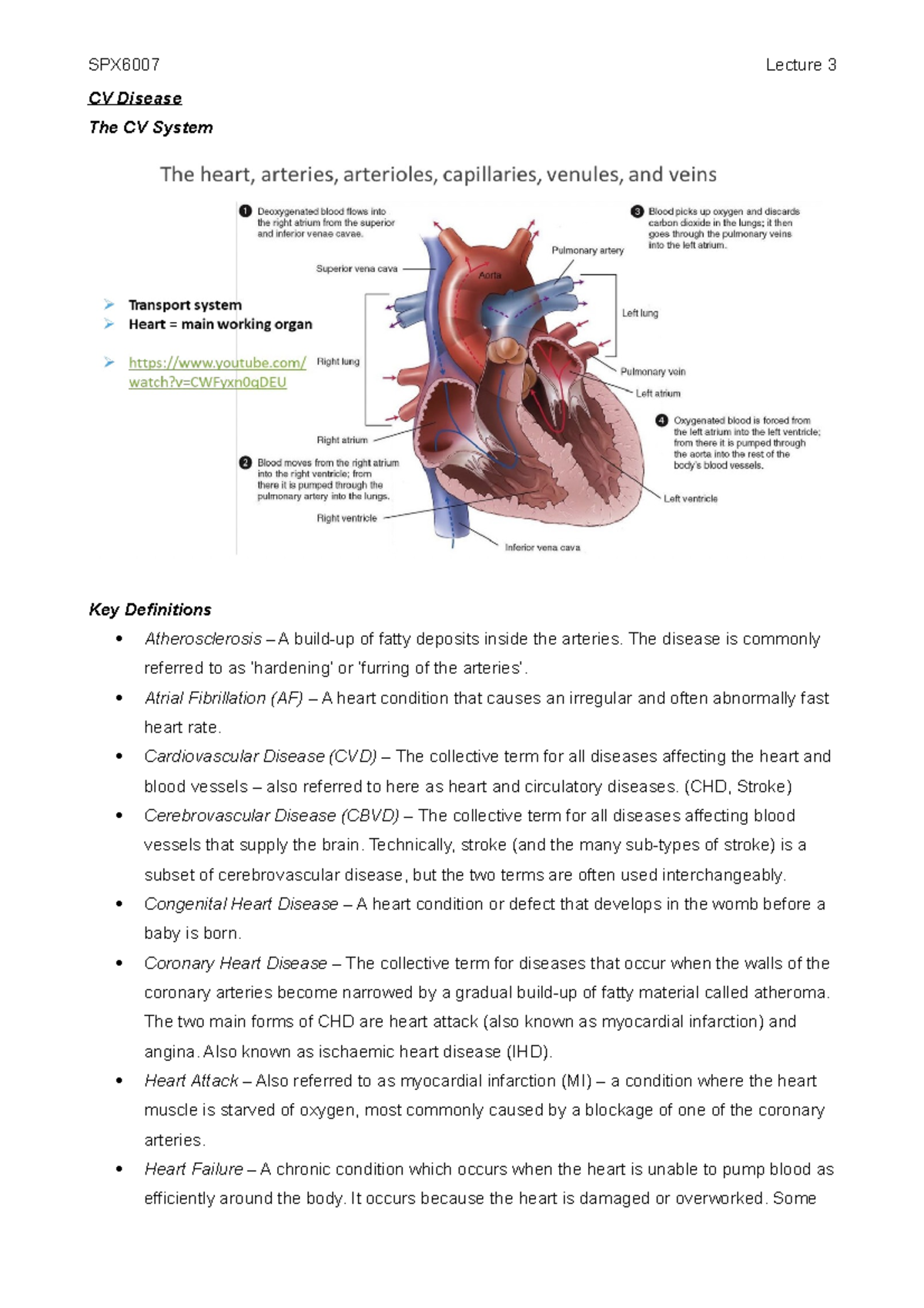 L3 - Treatment of CV Disease - CV Disease The CV System Key Definitions ...