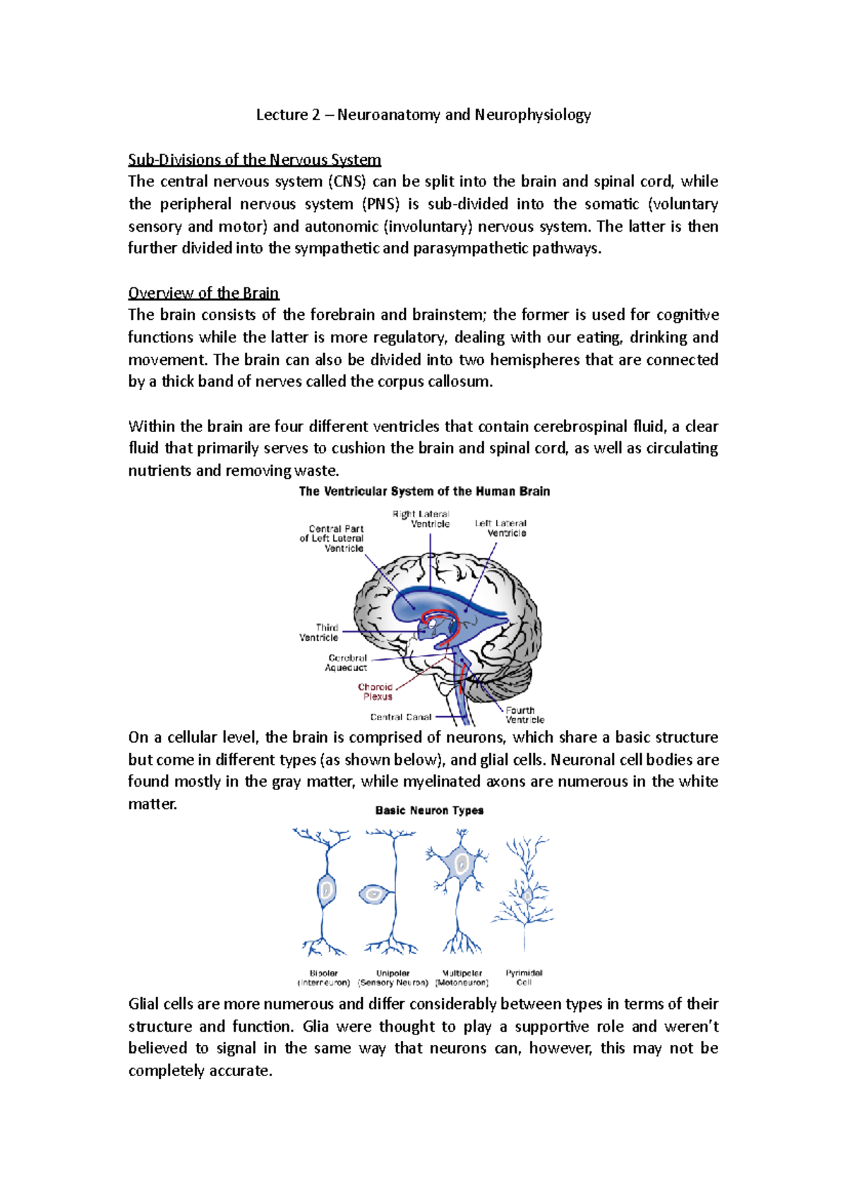 Neuroanatomy And Physiology - Lecture 2 Neuroanatomy And ...