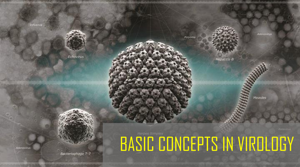 14 Basic Concepts IN Virology 2 VIRUSES Smallest infectious agent