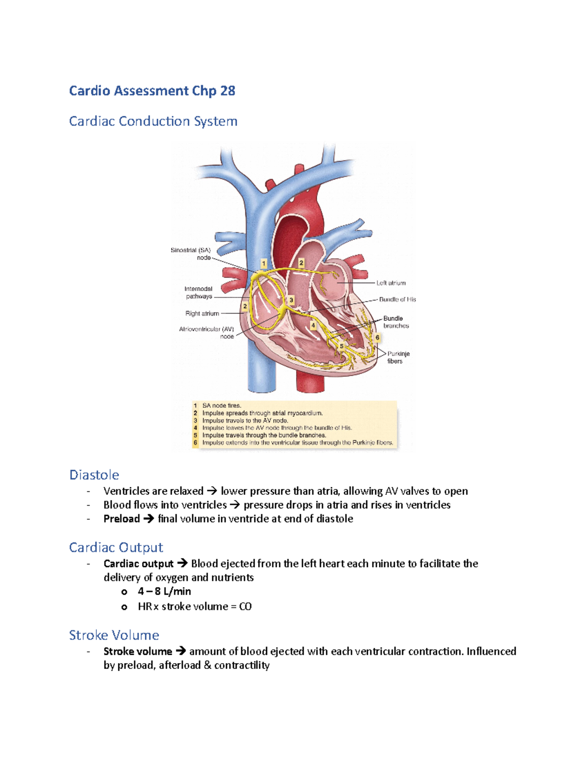 Module 3 cardiac - Cardio Assessment Chp 28 Cardiac Conduction System ...