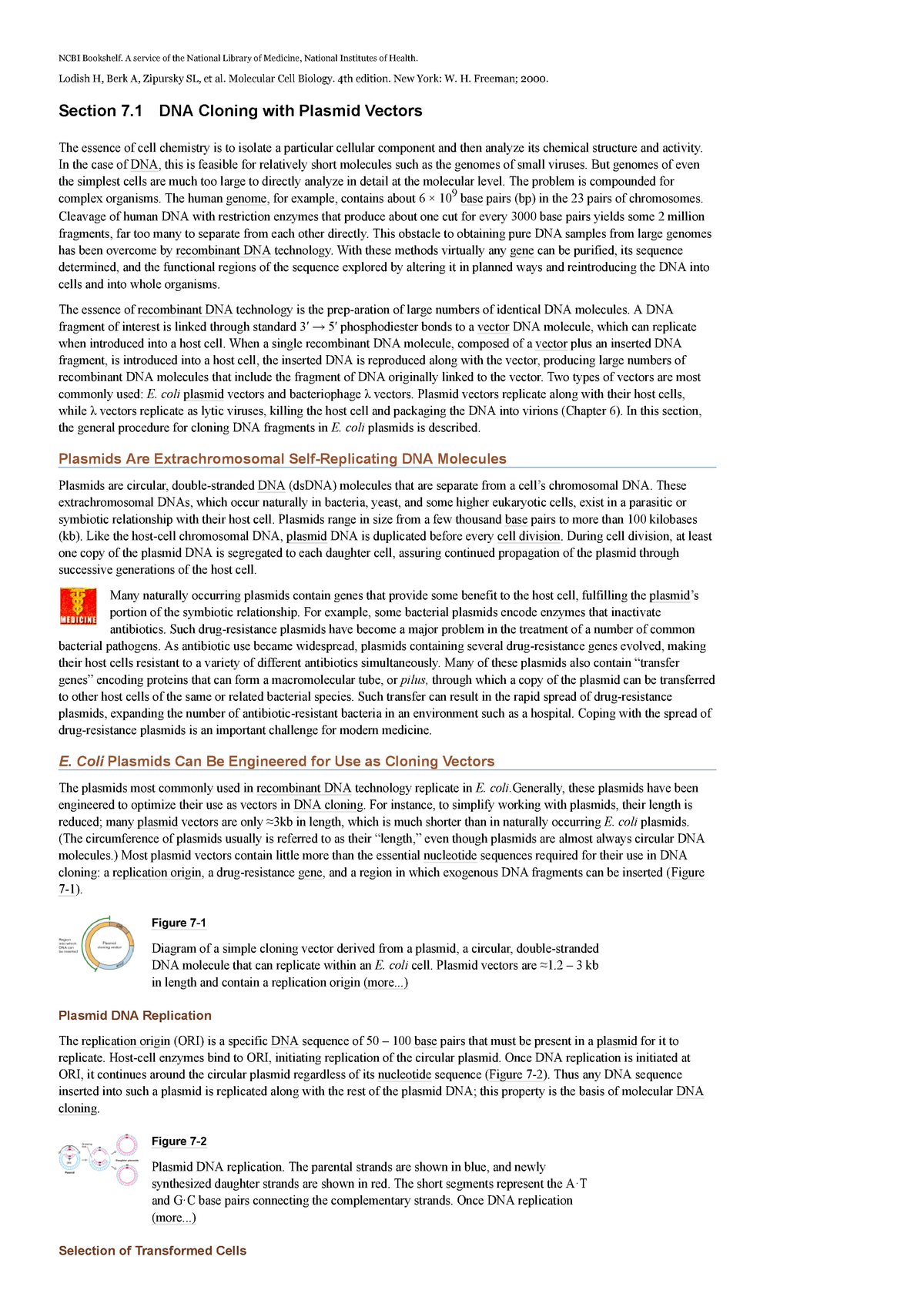 molecular cloning 1.2.3 | www.ibnuumar.sch.id