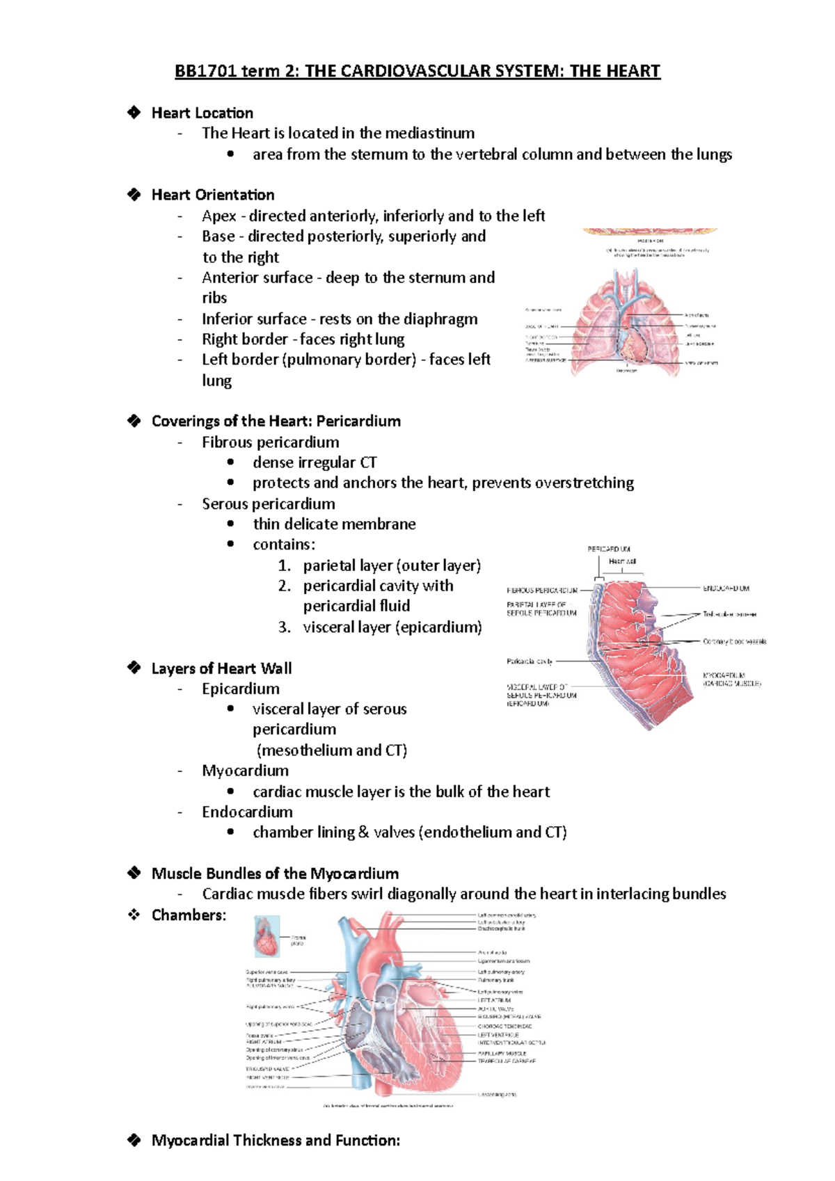 BB1701 term 2- THE Heart - BB1701 term 2: THE CARDIOVASCULAR SYSTEM ...