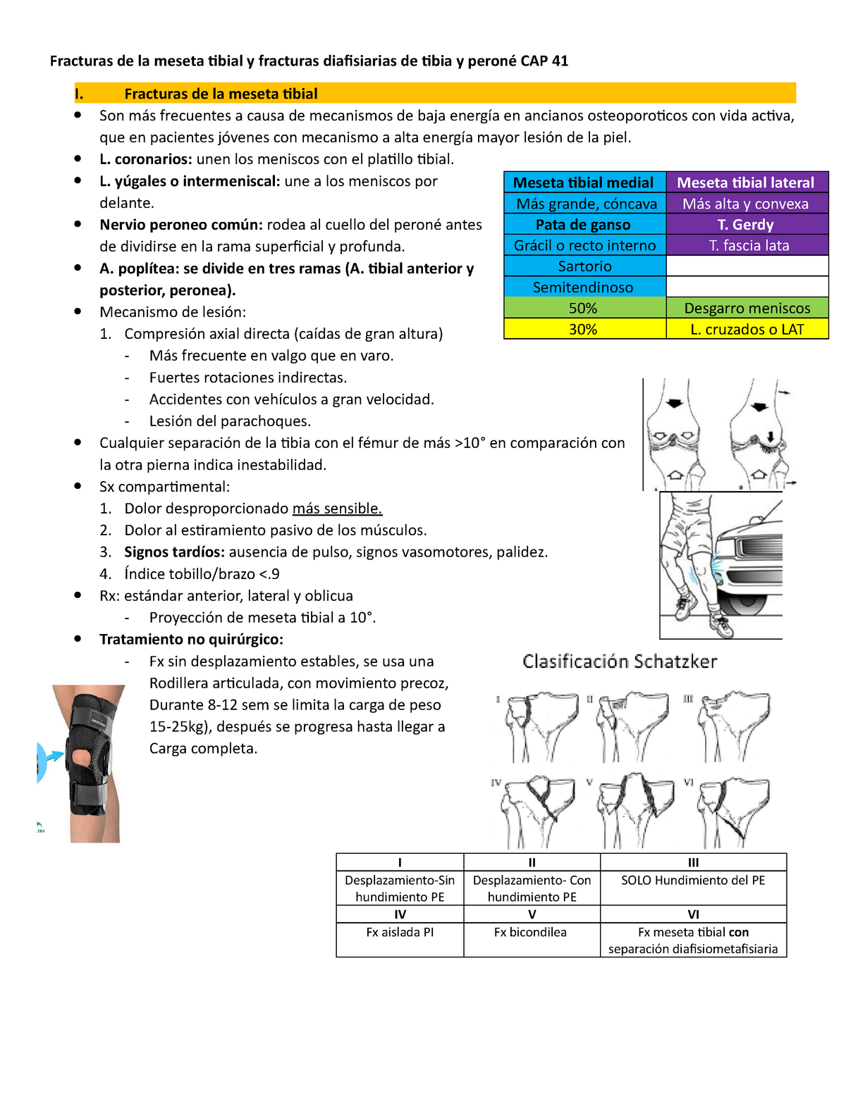 Copia De Seguridad De Fracturas De La Meseta Tibial Y Fracturas Diafisiarias De Tibia Y Peroné 8958