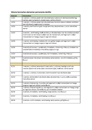 Schema Kenmerken Elementen Permanente Dentitie Tandanatomie 1 - Schema ...