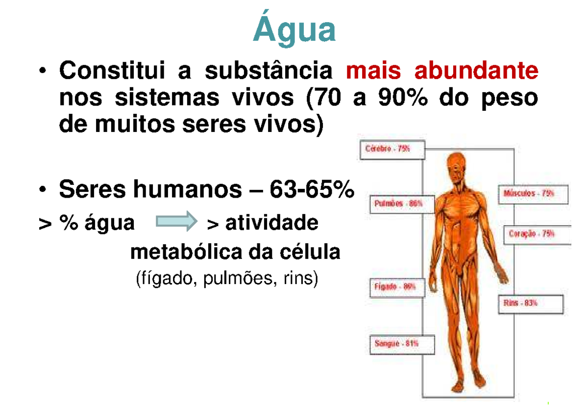 2Água e soluções tampão 2022 2023 Água Constitui a substância mais abundante nos sistemas 2Água e soluções tampão 2022 2023 Água Constitui a substância mais abundante nos sistemas